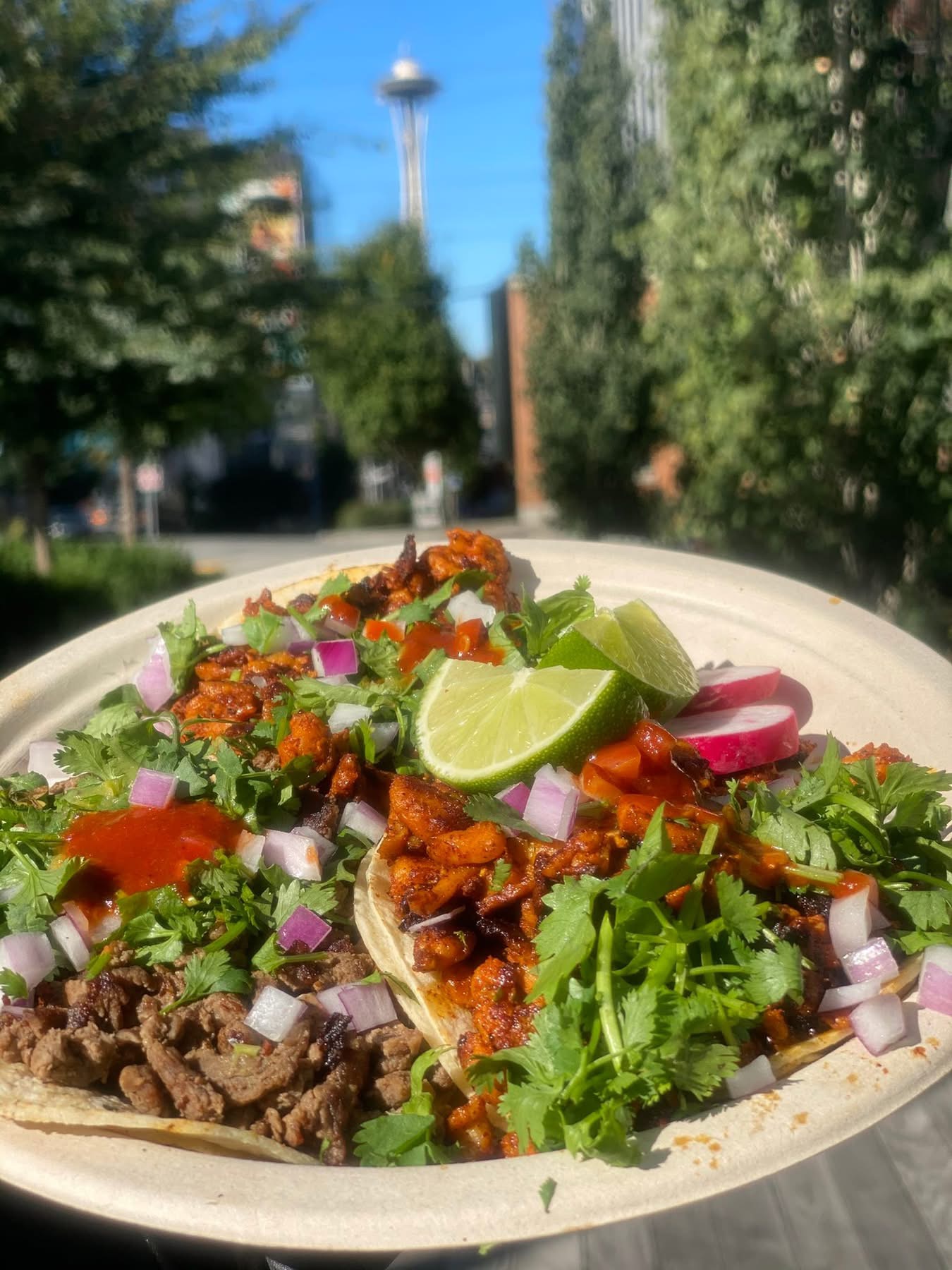 Barriga Llena street tacos with cilantro, red onion, radish, lime, and salsa roja in South Lake Union